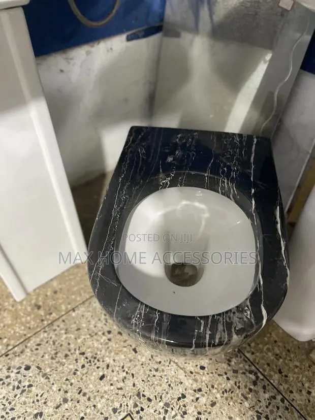 Hanging Water Closet · Photo 2