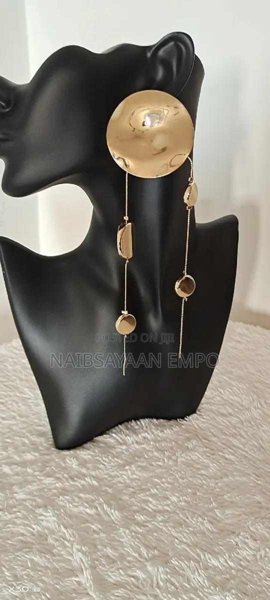 Elegant Long Drop Earrings · Photo 1