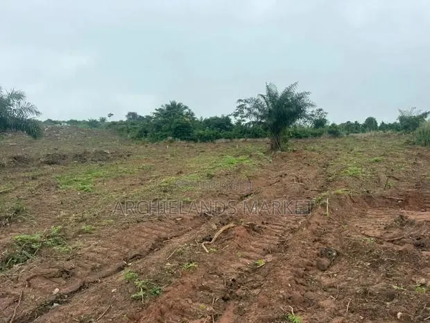 Land for Sale at Konkonuru · Photo 1