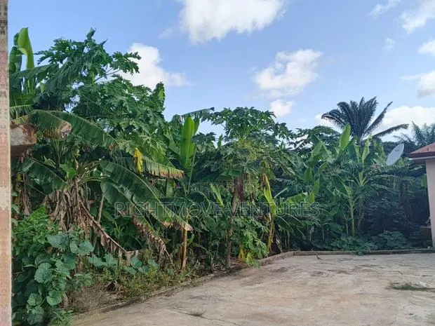 Land for Sale at Mpatado · Photo 1