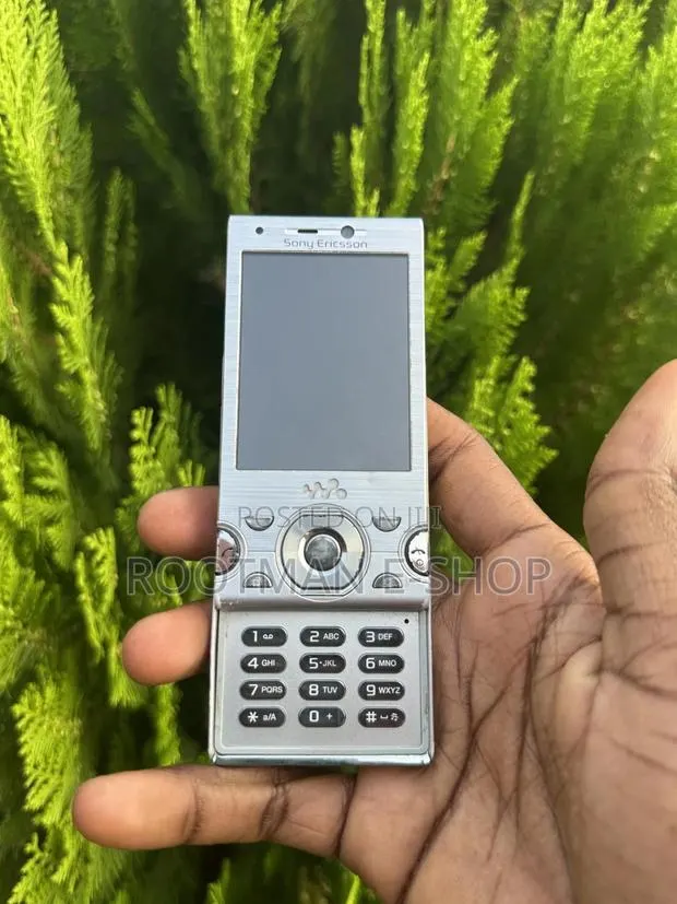 Sony Ericsson W995 Silver · Photo 1