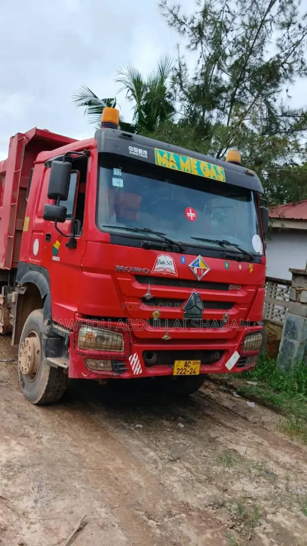 Sinotruck Howo Dump Truck for Sale · Photo 1