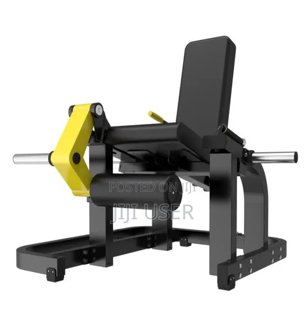 Leg Extension · Photo 1