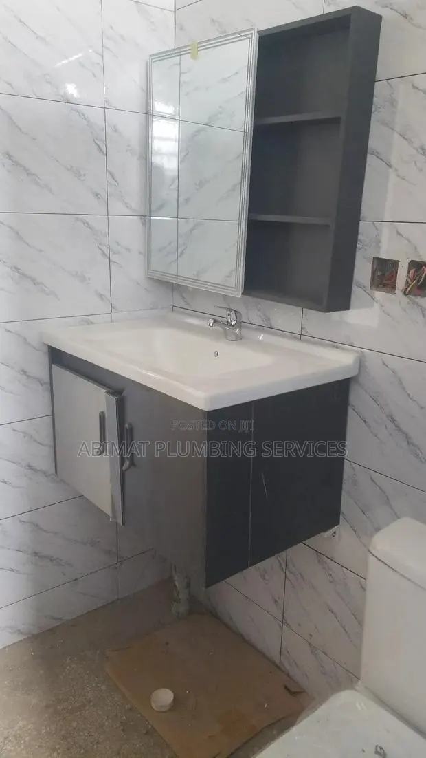 Professional Plumber (Certified · Photo 1
