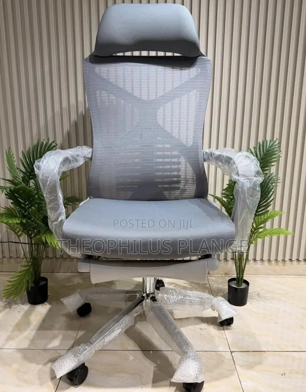 High Back Ergonomic Office Chair With Leg Rest · Photo 1