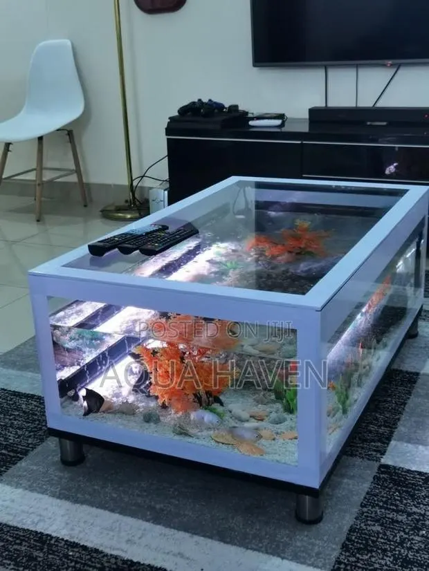 Center Table Aquarium · Photo 1