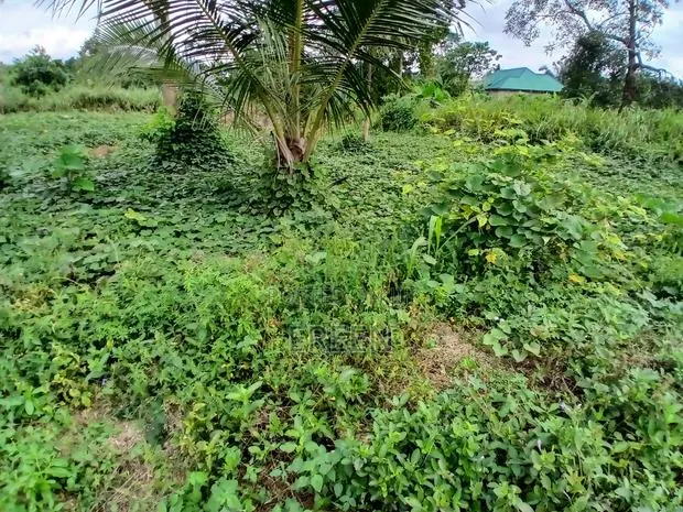 2 Plots of Land for Sale · Photo 2