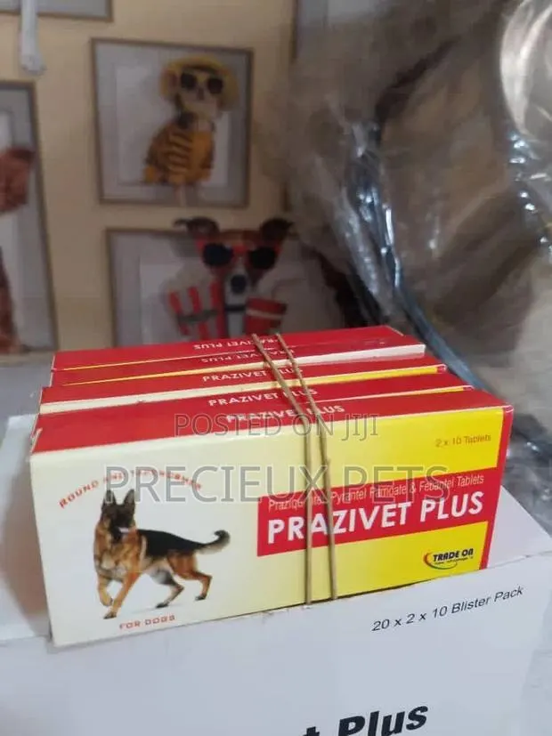 PRAZIVET DEWORMER For Cats And Dogs · Photo 1