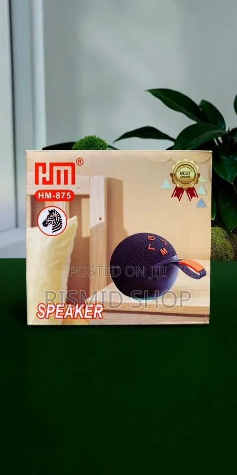 HM-875 Portable Sound Box · Photo 1