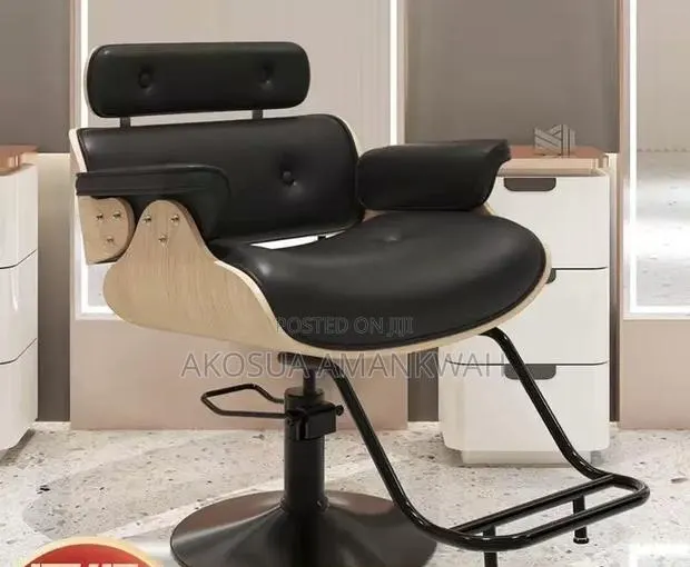 Salon Chair · Photo 1
