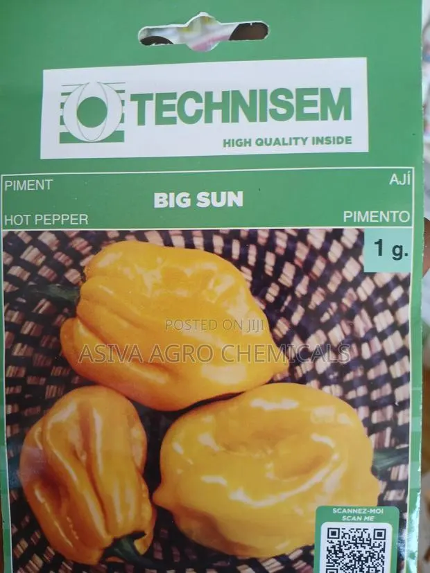 Big Sun Hot Pepper Seeds · Photo 2