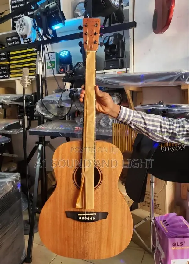 Strinberg Forest FS1A MGS Artistic Electroacoustic Guitar · Photo 1