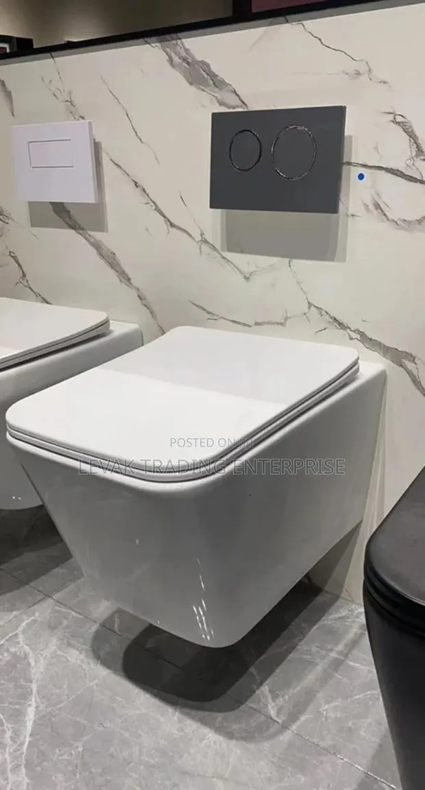 Concealed Wall Mounted Toilet Bowl - Hanging Wc · Photo 1