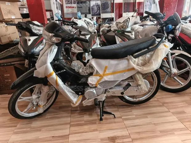New Luojia 110cc 2025 Black · Photo 1