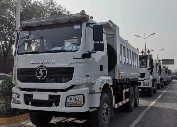 Brand New Shacman H3000 Tipper Truck · Photo 1