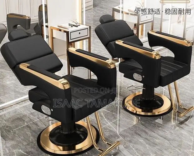 Professional Salon and Barber Chair · Photo 1