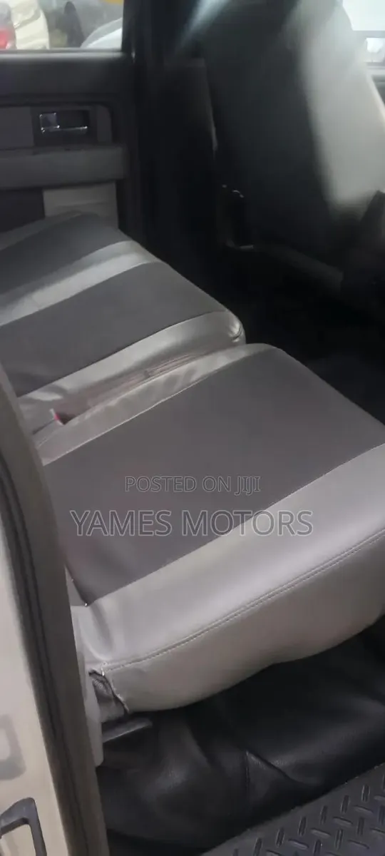 Ford F-150 2012 Silver · Photo 1