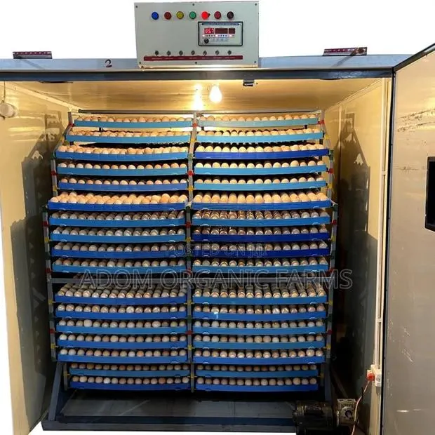 Bring Your Fertile Eggs for Hatching(98%) Hatching Rate · Photo 1