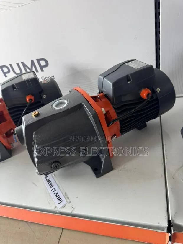 Available Now at Store Water Pump 1.5hp Leo · Photo 1