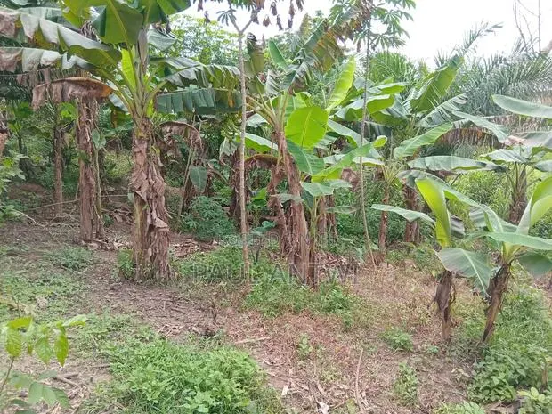 Land for Sale · Photo 1