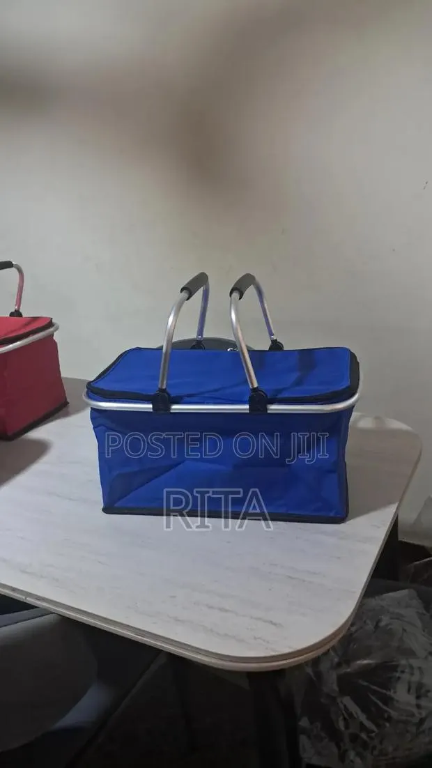 Picnic Insulated Lunch Bag or Box · Photo 1