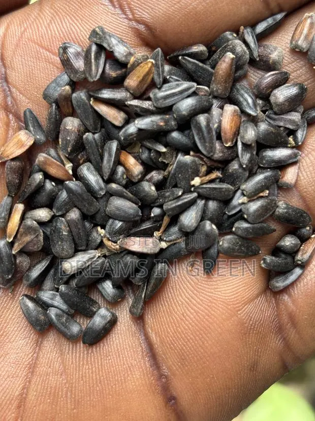 Sunflower Seeds · Photo 1