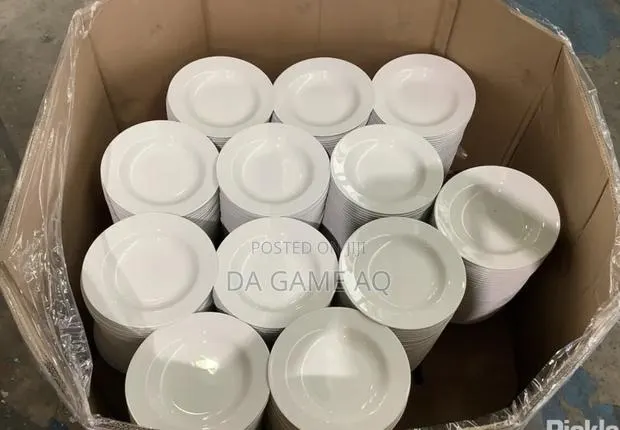White Porcelain Plate · Photo 1