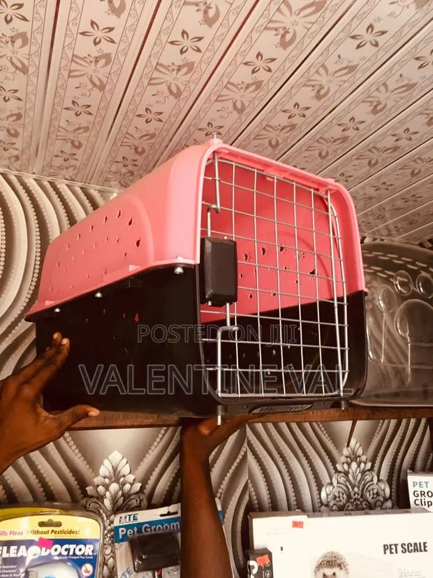 Nice Lovely Dog Carrier · Photo 1