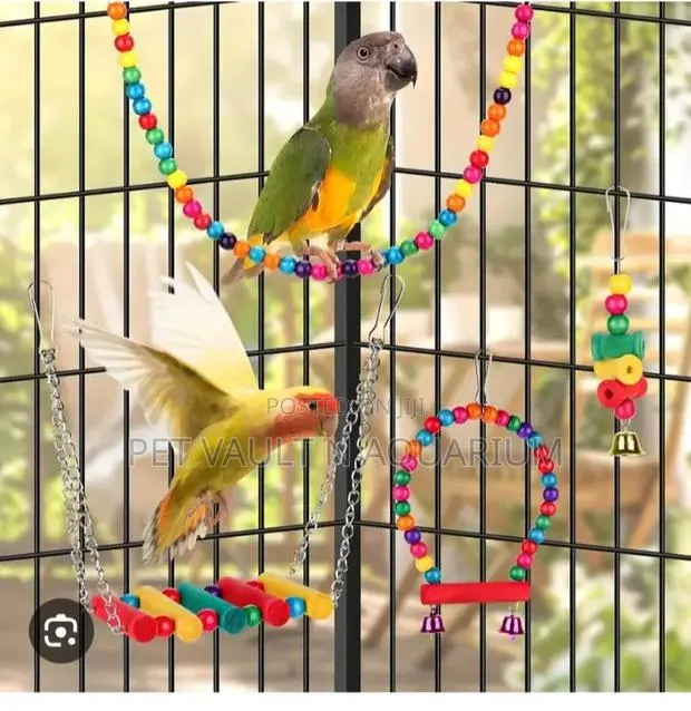Play Toys (For All Types of Birds) · Photo 1
