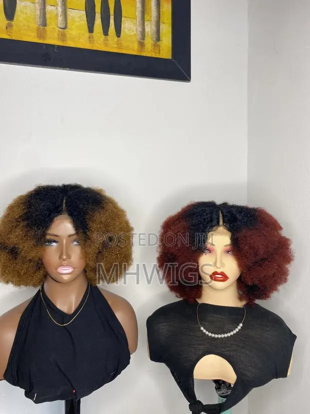100% Human Afro Wig · Photo 1