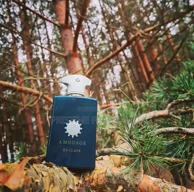 Amouage Enclave · Photo 1