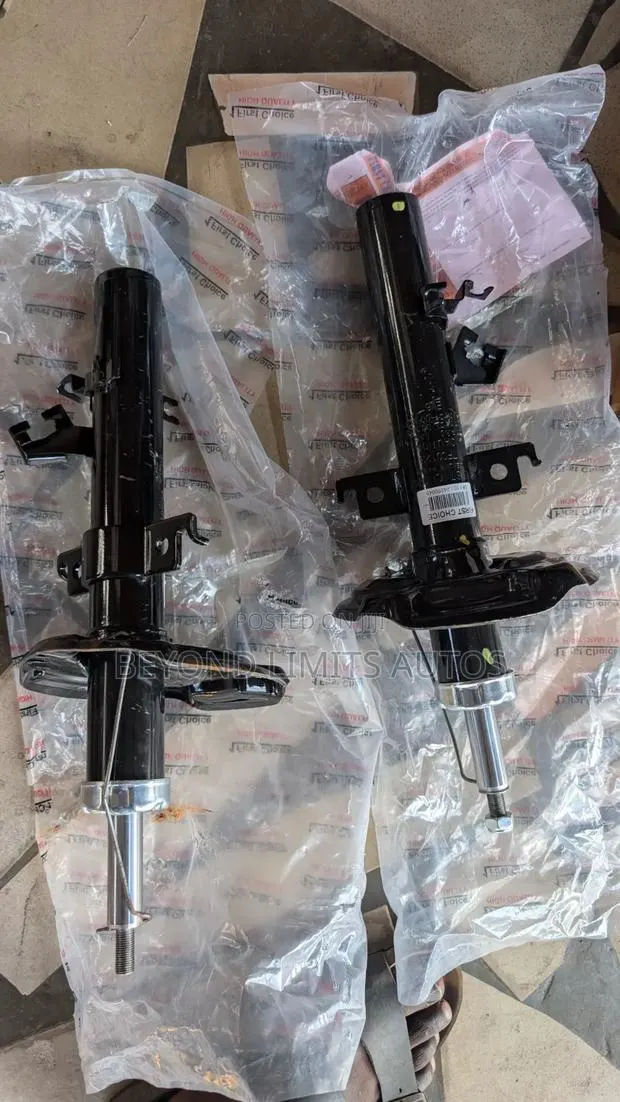 Nissan Rogue 2015,2016,2017,2018,2019,2020 Front Shock Absorber · Photo 1