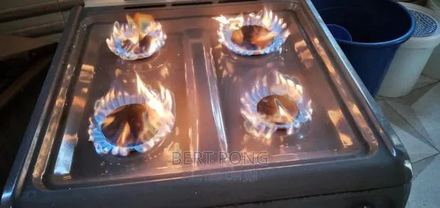 Gas Stove Ovens Home Repairs. (Read Feedback FRM Clients)