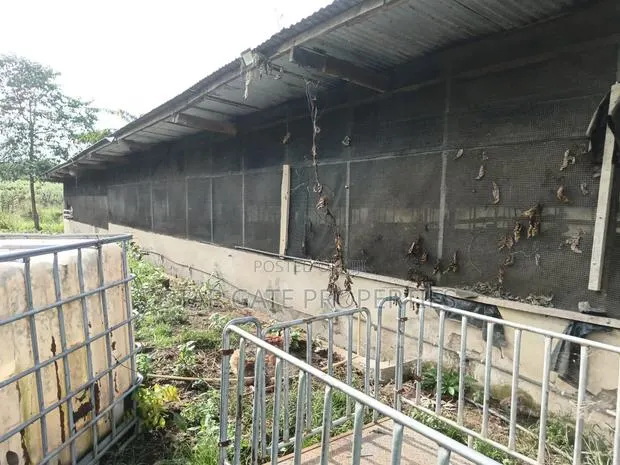 Poultry Farm Pig Farm for Sale ( 7 Acres Land) · Photo 1