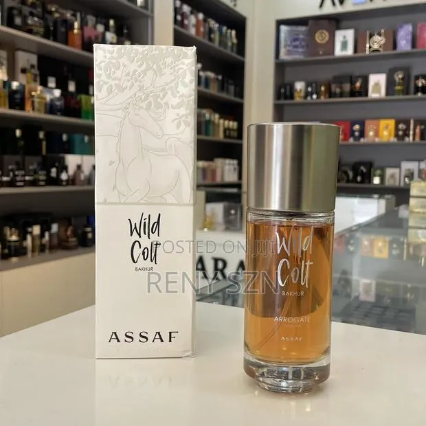 Wild Colt Bakhur Assaf