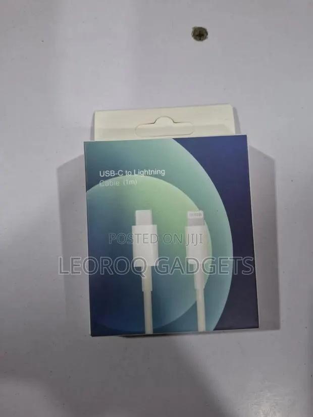 iPhone Lightning to USA Cable · Photo 1