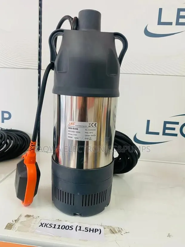 Very Portable Stainless 1.5hp Garden Submersible Pump Leo · Photo 1