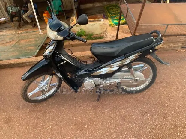 Luojia LJ110-8 2022 Brown · Photo 1