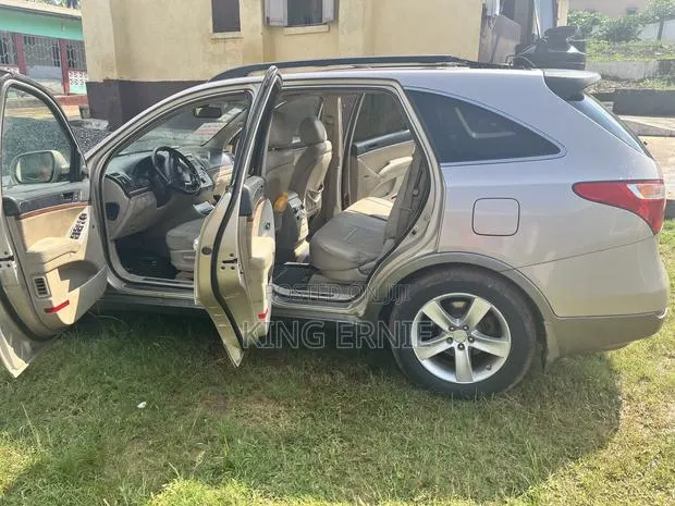Hyundai Santa Fe 2010 Gold · Photo 1