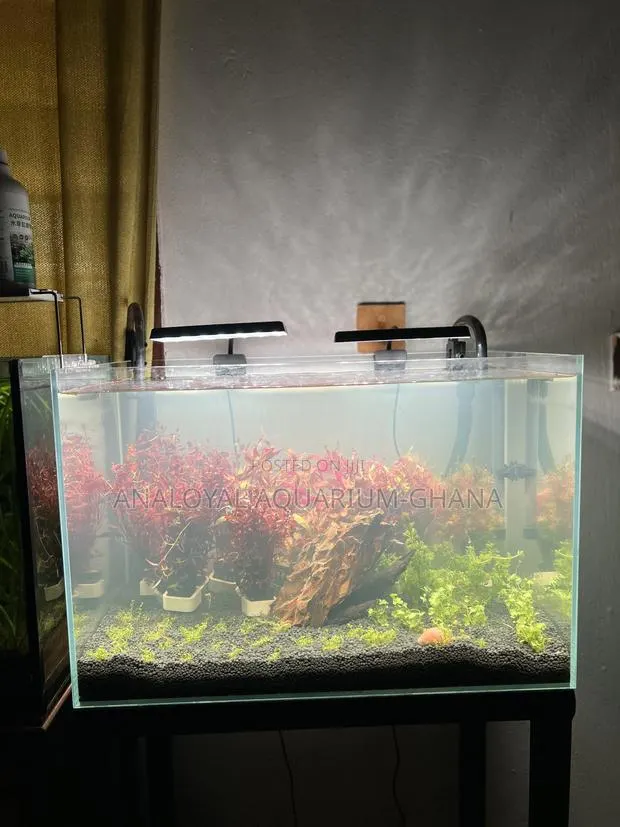 PREMIUM Aquascape · Photo 1