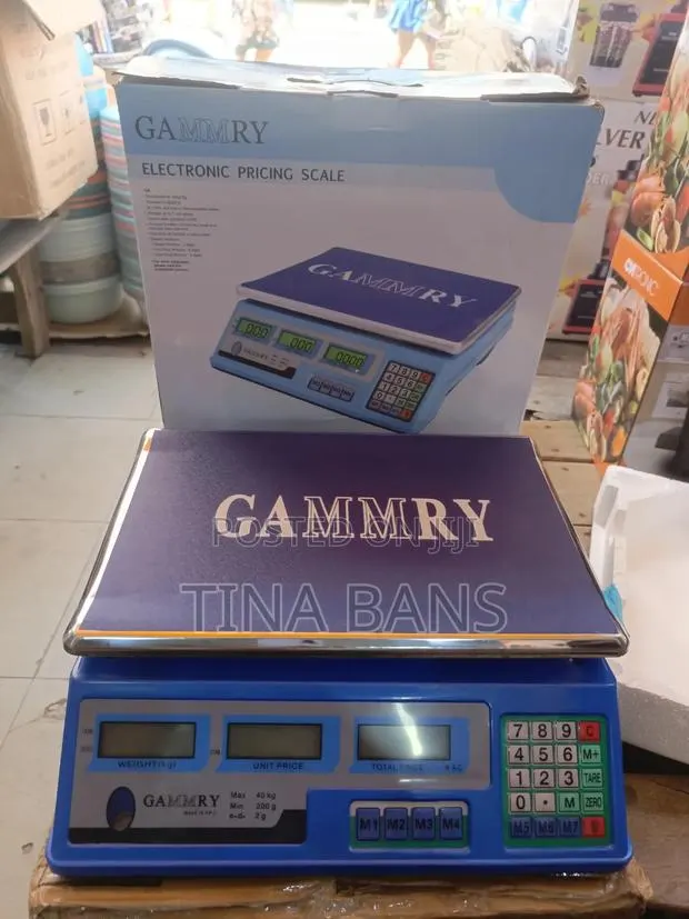 Gammry Electronic Pricing Scale · Photo 1