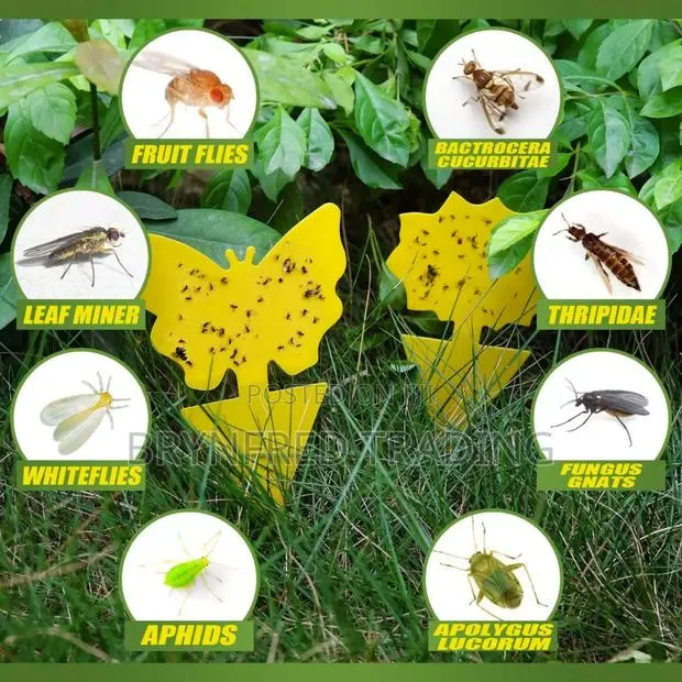 10pcs Yellow Sticky Insect Traps · Photo 1