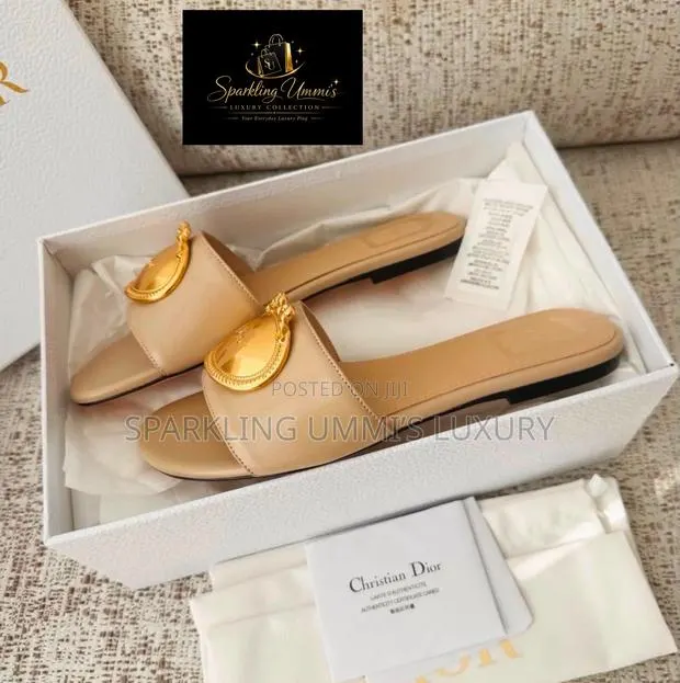 Premium High-Grade Christian Dior Médaillon Buckle Slides · Photo 1