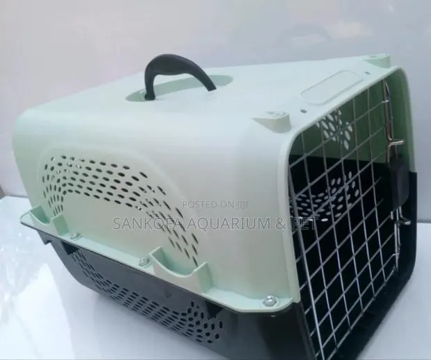 Super Transporting Dog Create · Photo 1