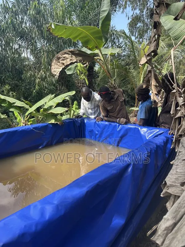 Tarp Fish Pond · Photo 1