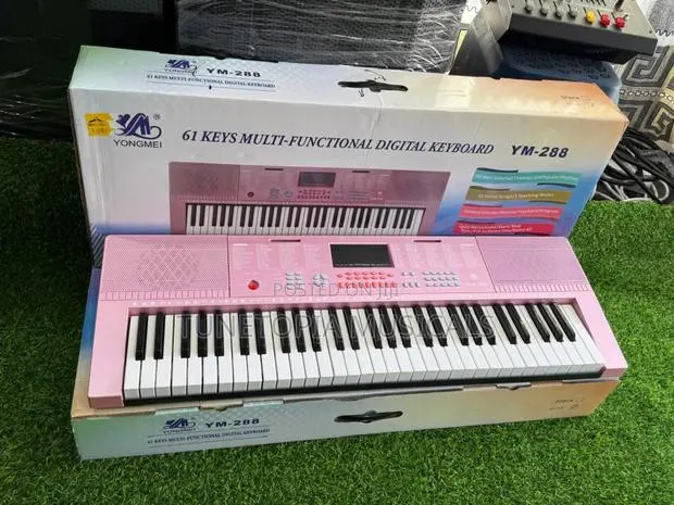 Yongmei Ym-288 Multi-Functional Digital Teaching Keyboard With 61 Keys · Photo 1