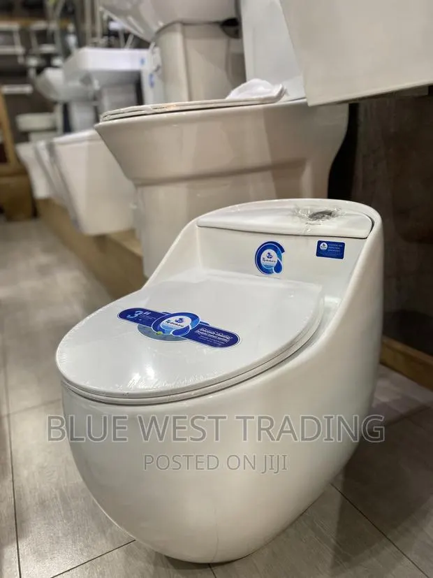 White Egg Shaped Water Closet · Photo 1