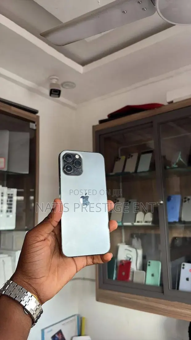 Apple iPhone 12 Pro Max 256 GB Silver · Photo 1