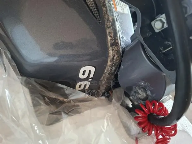 Yamaha 9.9 Hp (F9.9 Series) · Photo 4