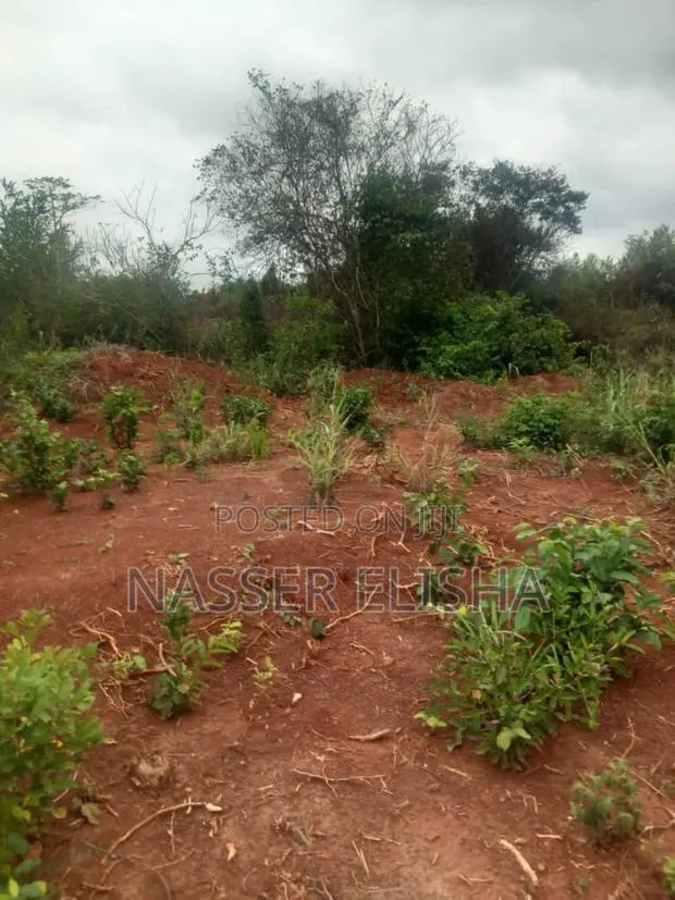 2.5 Acres for Sale by Mainroad · Photo 1